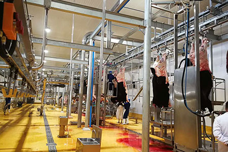 Matadouro para bovinos e ovinos na Mongólia 