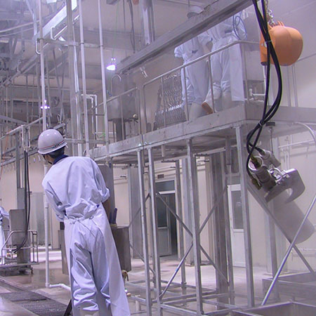 Matadouro para bovinos para a Wagyu Beef Factory 