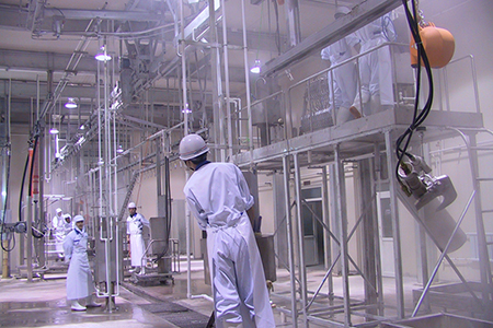 Matadouro para bovinos para a Wagyu Beef Factory 