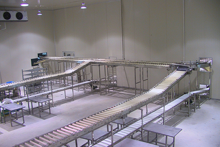 Matadouro para bovinos para a Wagyu Beef Factory 