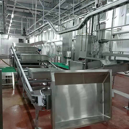 Matadouro para bovinos da Australia 