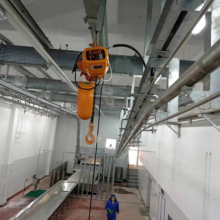 Matadouro para bovinos da Australia 