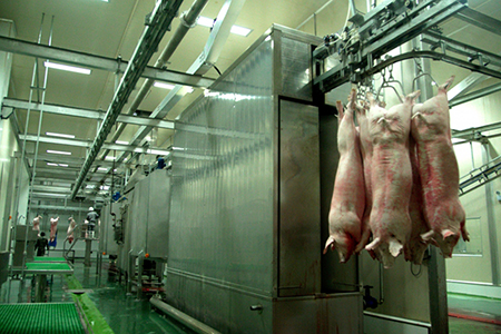 Processamento de carne suína para Chaishan Foods 
