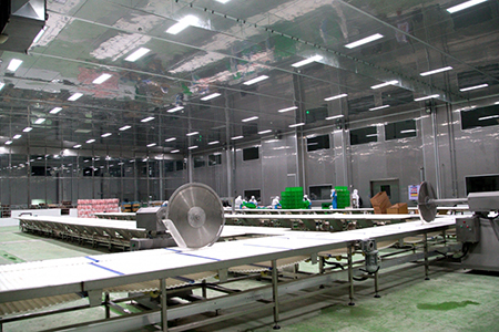 Processamento de carne suína para Chaishan Foods 