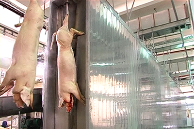 Transportador aéreo para escaldagem — spray de água 