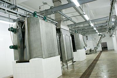 Chamuscador a gás de suínos 