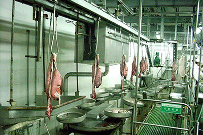 Nória para evisceração