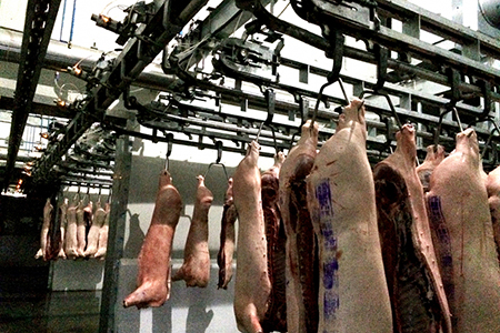 Nória - avaliação da carcaça