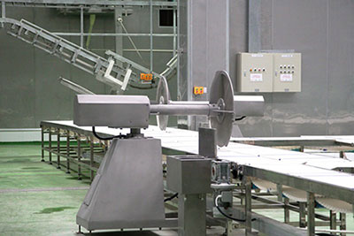 Esteira transportadora para desossa 