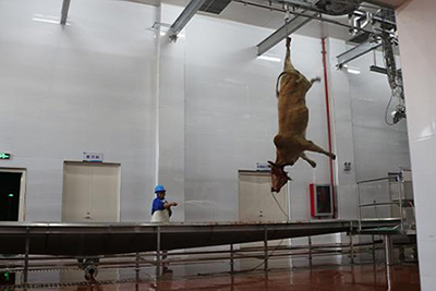 Estimulação elétrica e sangria