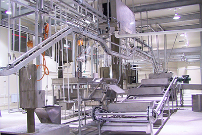 Nória para evisceração