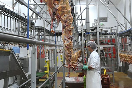 Equipamentos para matadouros - avícolas